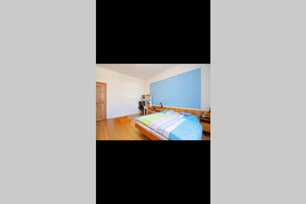 Zamecky Apartman V Horni Plane Horní Planá Εξωτερικό φωτογραφία